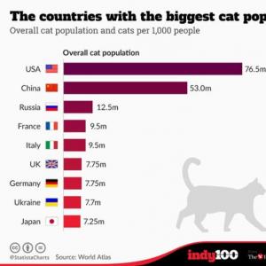 Где живёт больше всего кошек?